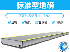 <b>标准型地磅（汽车衡）</b>