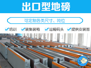 <b>出口型地磅</b>