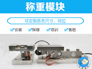 <b>称重模块</b>