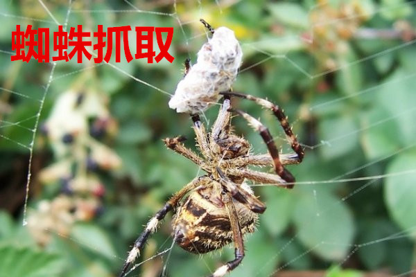 梅雨季来临，你的地磅做好防范措施了吗？